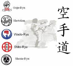 Resultado de imagem para animação karate