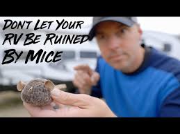 keep mice and pest out of your rv