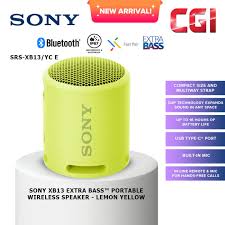 sony wireless speaker srs xb13 yc