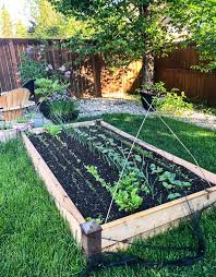 my urban vegetable garden layout a