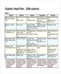 Free 9 Meal Plan Examples Samples In Pdf Google Docs
