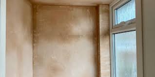 Painting A Plastered Wall