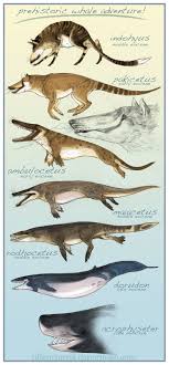 Lostbeasts Gallantcannibal Prehistoric Whale Evolution