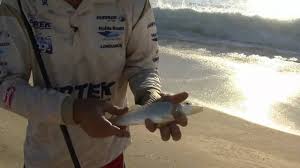See more of fishing near me on facebook. Beach Fishing Basics Youtube