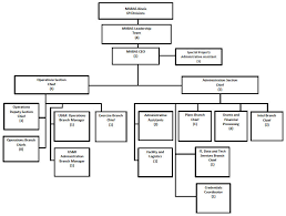 Mabas Il Organizational Chart