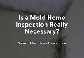 mold inspection cost mold inspection