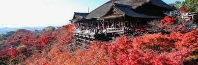 kyoto travel guide what to do in