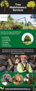 Find out how to choose an this is when you will need to contact a tree removal service to remove broken, damaged limbs or take down a tree. Tree Maintenance Services In Cumberland By Precision Tree Services Ltd Issuu