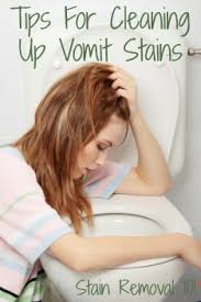 cleaning vomit stains from carpet tips