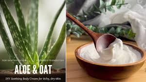 diy aloe oat soothing body cream for