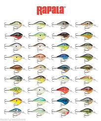 Details About Rapala Dives To Dt6 Series Balsa Wood Rapala