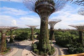 the artificial trees of singapore
