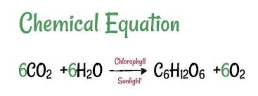 The Equation Of Photosynthesis