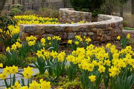 10 beautiful ways to landscape with bulbs