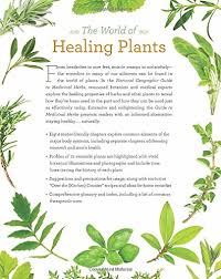 National Geographic Guide To Medicinal Herbs The Worlds