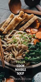 vegan udon noodle soup gastroplant