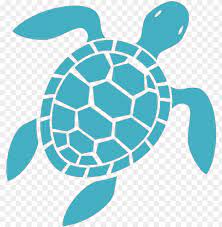 Sea Turtle Icon Png Transpa
