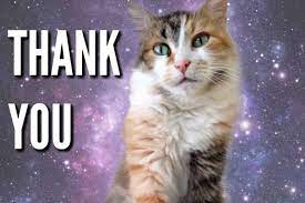 For that reason, i hope you enjoy these 101 funny 'thank you' memes and decide to share some with people who have made a difference in your life. 51 Nice Thank You Memes With Cats Tons Of Thanks