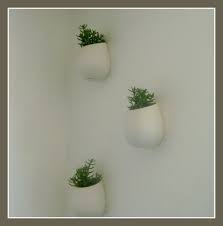 Hanging Plants On The Wall Sparkle