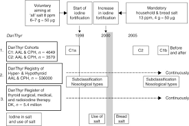 iodised salt an overview