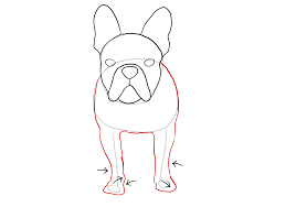 to draw a dog step by step tutorial