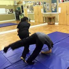 martial arts folding mats grappling