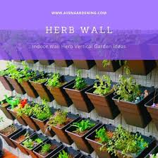 Indoor Wall Herb Vertical Garden Ideas