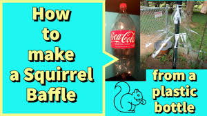 a squirrel baffle from a plastic bottle