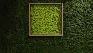 How To Make A Moss Wall Moss Stone