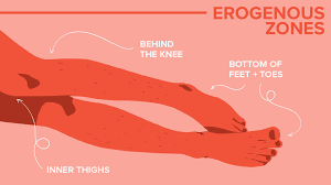 31 Erogenous Zones And How To Touch Them In 2019 Female