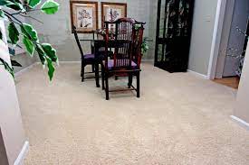 best carpets that hide stains and