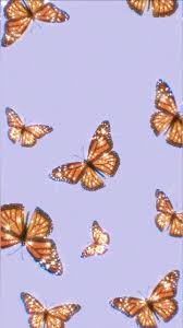 Watercolor butterfly background png download 480 604. Butterfly Wallpaper And Aesthetic Image 718x1280 Download Hd Wallpaper Wallpapertip