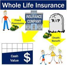 The life of an individual is important not only to himself, but other many people depend upon him. Whole Life Insurance Definition And Meaning Market Business News