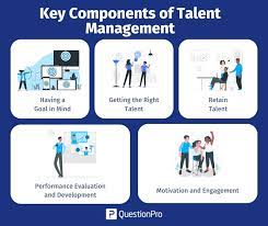 talent management what it is process