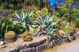 California Botanical Gardens That Are
