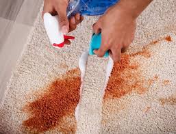 12 carpet cleaning hacks used by pros