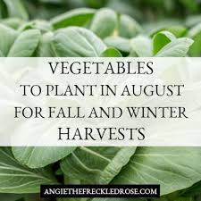 Vegetable Planting For Fall What To