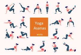 beginners guide to yoga asanas and poses