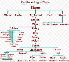 Abrahams Family Tree Genealogy Lineage Png 1157x1029px