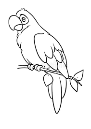 Maybe you would like to learn more about one of these? Parrot Macaw Bird Animal Character Cartoon Illustration Coloring Page Stock Illustration Illustration Of Parrot Animal 143411401