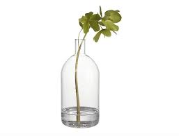 Lab Glass Vases Gardenista