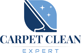 home carpet clean expert