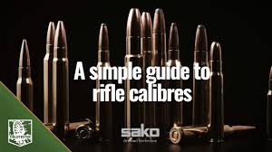 a simple guide to calibres