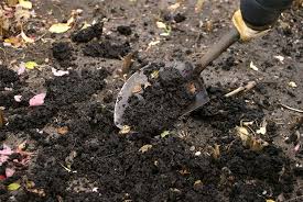 Importance And Preparation Of The Soil