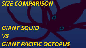 giant squid vs giant pacific octopus