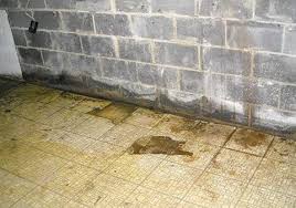 Leaking Basement Floor S