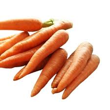 farm fresh carrots shelf life