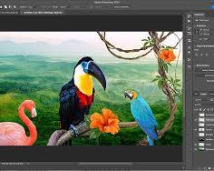 Imagen de Adobe Photoshop software