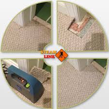 pet damages carpet repair and patching