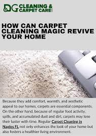 best carpet cleaning in naples fl